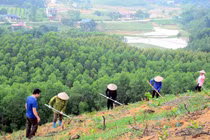 Triển khai kế hoạch chủ động ứng phó với biến đổi khí hậu