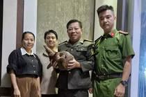 Người dân Quảng Trị giao nộp cá thể tê tê quý hiếm