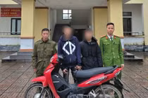 Thiếu tiền tiêu xài, 2 'đạo chích nhí' đột nhập nhà dân trộm xe máy