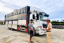 Bắt giữ gần 30 tấn đường không rõ nguồn gốc ở TP Huế