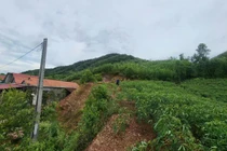 Xuất hiện nhiều vết nứt lớn, xã miền núi Quảng Trị di dời hàng chục hộ dân