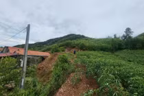 Xuất hiện nhiều vết nứt lớn, xã miền núi Quảng Trị di dời hàng chục hộ dân