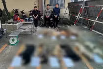 Triệt xoá đường dây chuyên trộm chó ở TP HCM