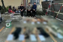 Triệt xoá đường dây chuyên trộm chó ở TP HCM