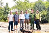 Vườn Quốc gia Vũ Quang tiếp nhận 4 cá thể động vật quý hiếm