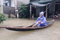 Hỗ trợ khẩn cấp 160 tấn hạt giống lúa cho TP Huế