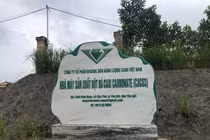 Một công ty bị xử phạt 320 triệu đồng do vi phạm môi trường