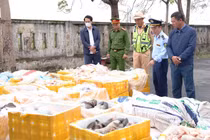 Phát hiện gần 2,7 tấn nội tạng động vật không rõ nguồn gốc ở Hà Tĩnh