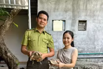 Người dân Hà Tĩnh giao nộp 2 cá thể rùa vàng quý hiếm