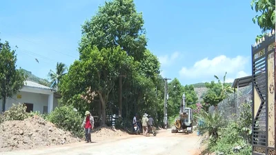 Chuẩn Bị chu đáo nơi an táng nguyên Chủ Tịch Trần Đức Lương