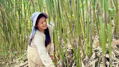 Ứng dụng khoa học công nghệ phát triển nguồn lợi măng vót