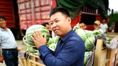 "Nội soi" dưa hấu, "gõ gõ vài cái" kiếm ngay 35 triệu đồng