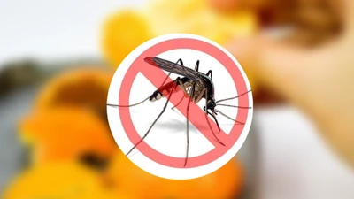 “Sốt” máy đuổi muỗi tích hợp công nghệ mùa mưa