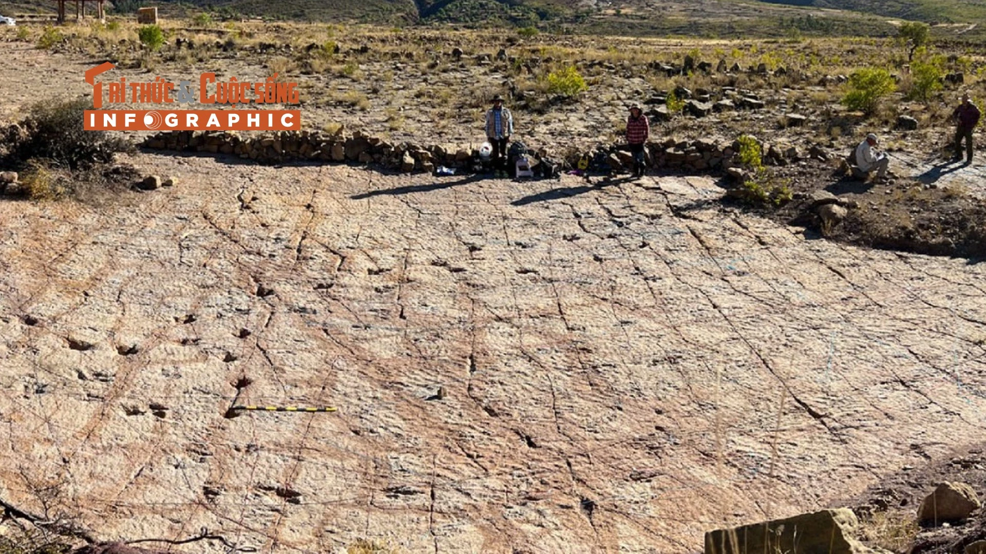 [INFOGRAPHIC] 'Xa lộ quái vật' đầy dấu chân khủng long