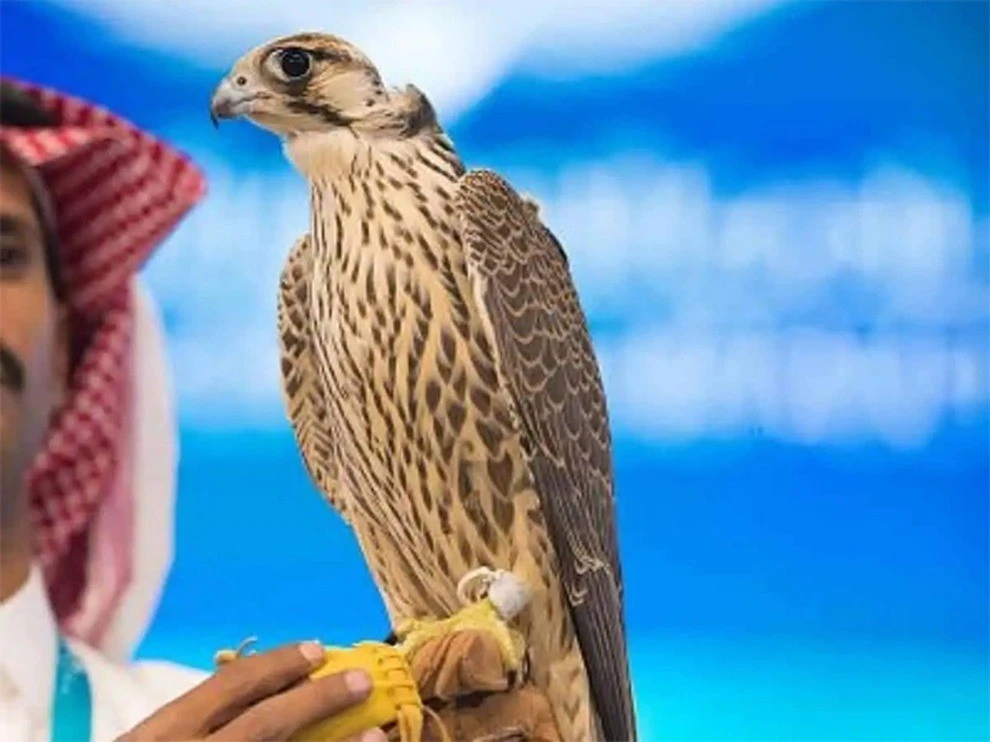 Ngoài bồ câu 35 tỷ, thế giới còn những loài vật nào có giá ‘khủng’?