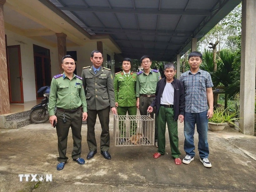 2 cá thể khỉ quý hiếm 'đi lạc' vào nhà dân Quảng Trị được giao nộp