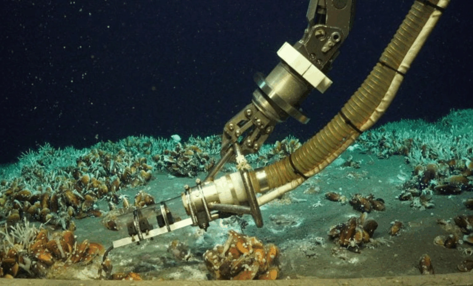 Tìm thấy mạch nguồn sự sống chưa từng thấy trên thế giới