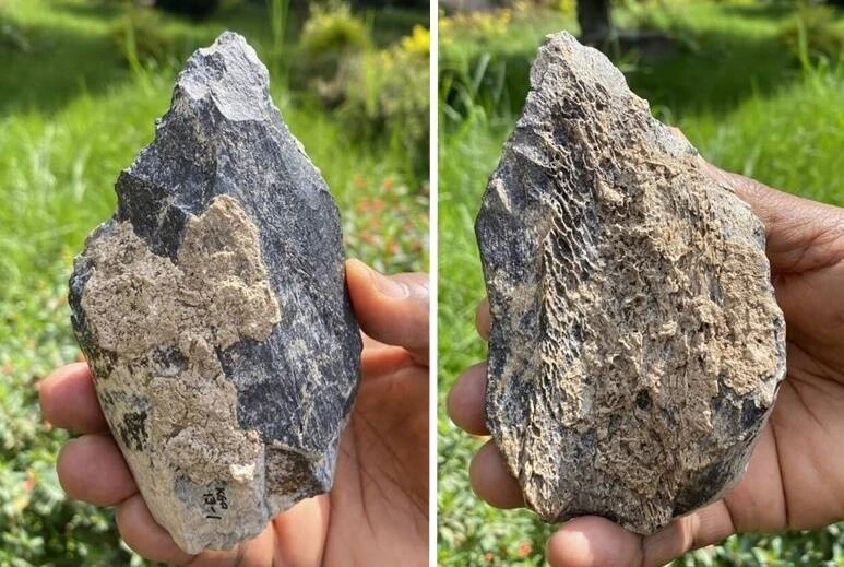 Phát hiện chiếc rìu 1,4 triệu tuổi làm từ xương động vật
