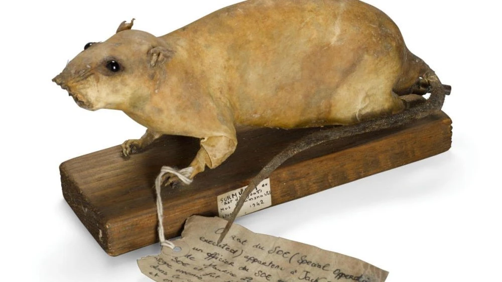 Giải mật kế hoạch của Anh nhằm phá hủy các nhà máy của Đức quốc xã