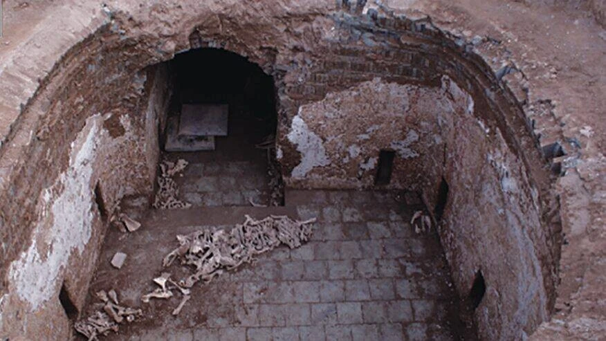 Mở mộ cổ nhà Đường, bất ngờ phát hiện thi hài quý bà chôn cùng lừa