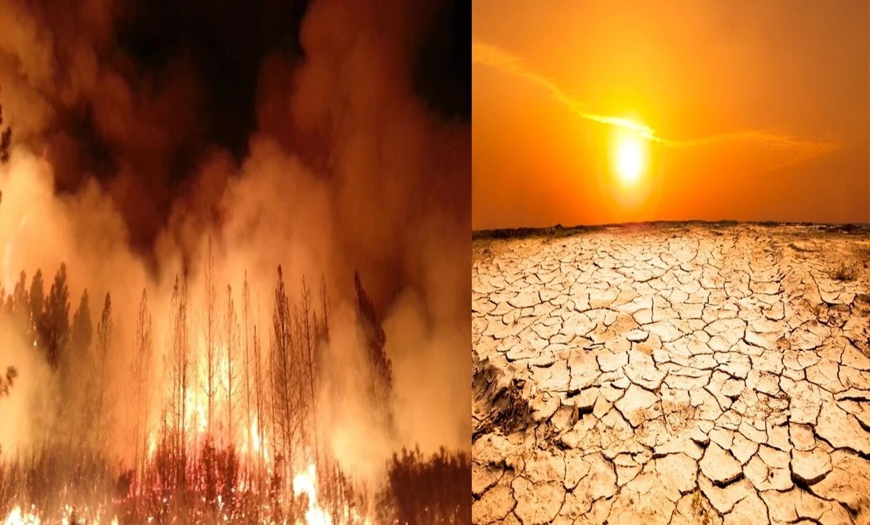 Năm 2025, biến đổi khí hậu gây thiệt hại hơn 120 tỷ USD 