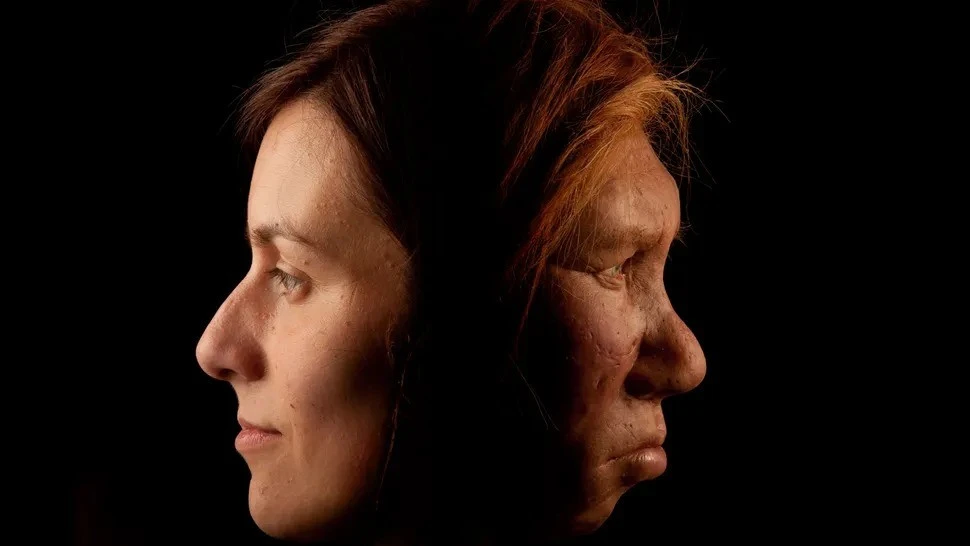 Hé lộ nguyên nhân khiến người Neanderthal tuyệt chủng