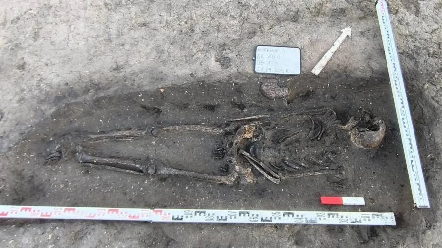 24 hài cốt Trung cổ chôn cùng vũ khí gây sửng sốt