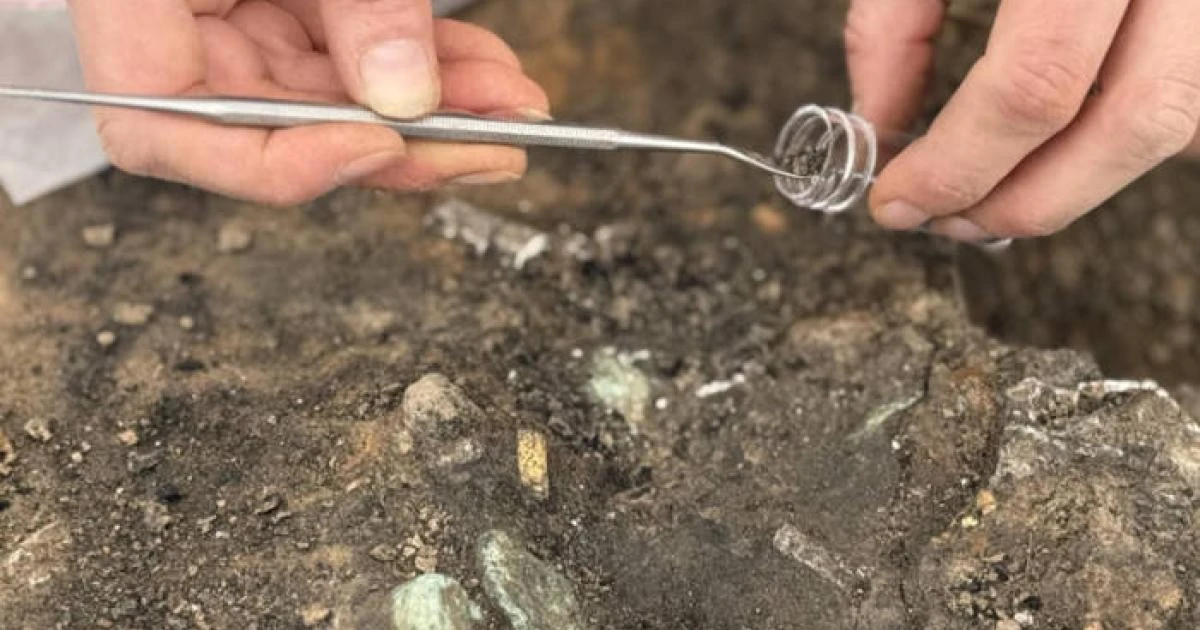 Nhẫn vàng trong mộ 2.000 năm hé lộ nghi lễ hỏa táng xa hoa