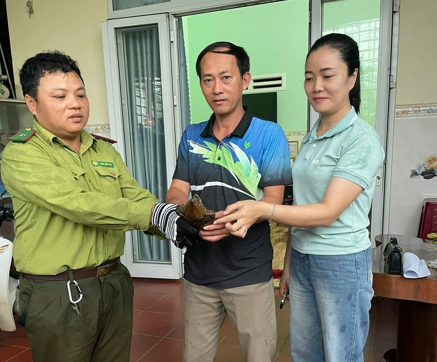 Quảng Ngãi thả rùa đầu to về tự nhiên: Loài quý hiếm, ưu tiên bảo vệ!