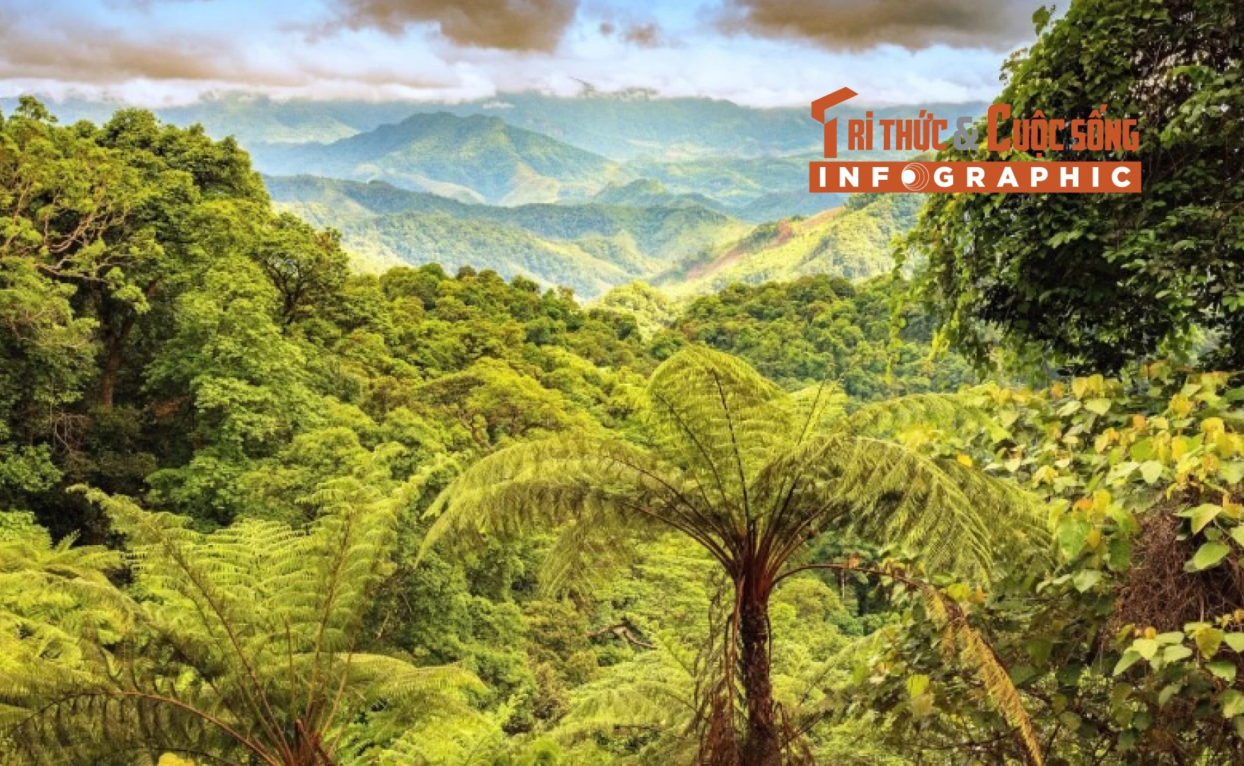 [INFOGRAPHIC] Khám phá Khu Dự trữ thiên nhiên Động Châu - Khe Nước Trong