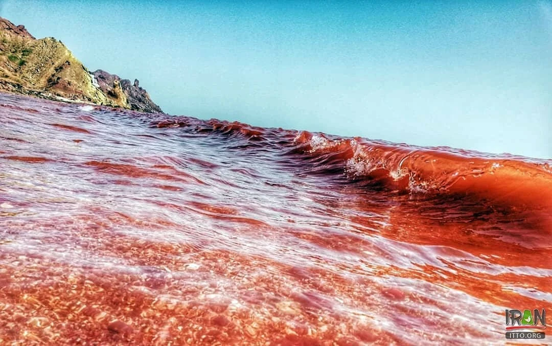Nước biển đỏ rực sau mưa lớn, tự nhiên hay điềm báo?