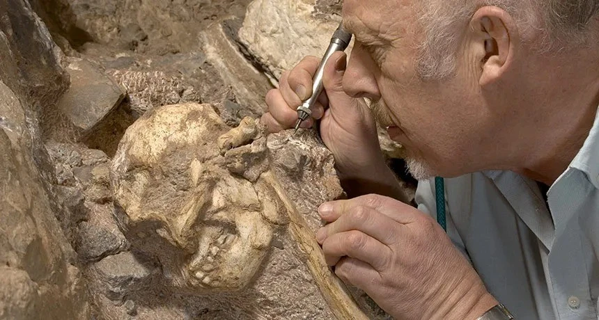 Hóa thạch Little Foot viết lại lịch sử tiến hóa loài người