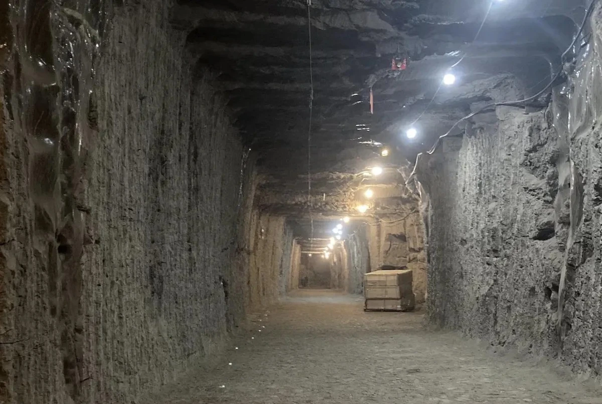 Các nhà khoa học 'đánh thức' sự sống bị 'phong ấn' suốt 40.000 năm