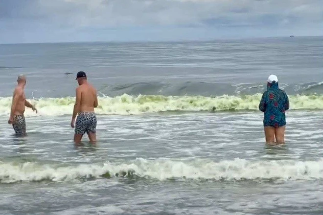 Nước biển Vũng Tàu biến màu xanh lá kỳ lạ, chuyên gia giải mã sao?