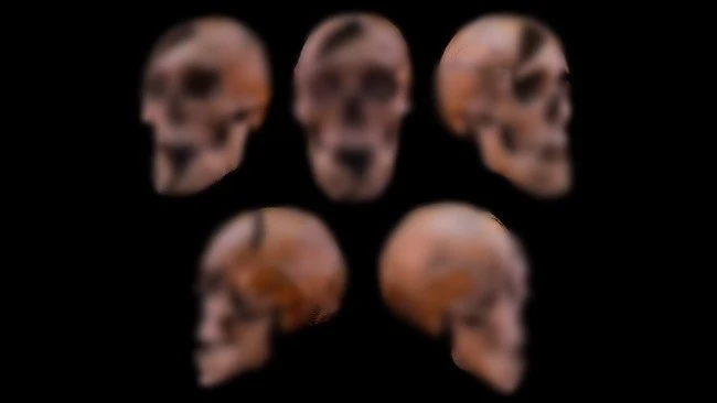 'Nội soi' hài cốt Công tước Hungary hé lộ cái chết tàn bạo