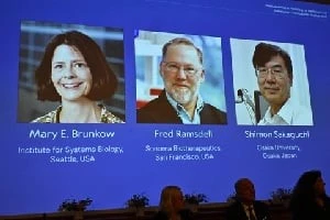 Hành trình đến giải Nobel Y sinh 2025, mở cánh cửa mới về miễn dịch học