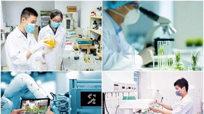Miễn thuế khoản tài trợ cho hoạt động nghiên cứu khoa học