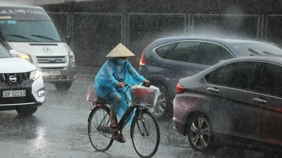 Miền Bắc sắp đón thêm mưa dông