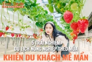 [INFOGRAPHIC] 5 trải nghiệm du lịch nông nghiệp khiến du khách mê mẩn