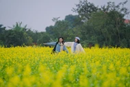 Cánh đồng cải vàng Lệ Chi không chỉ là điểm check-in mùa đông, mà còn là không gian để du khách gần gũi với thiên nhiên, tận hưởng nhịp sống chậm của vùng bãi ven sông. Ảnh Hồ Thiên Nga