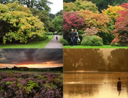 Mùa thu chạm ngõ nước Anh