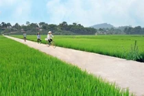 Trà Vinh: Cty Lương Hòa trúng gói thầu sửa đường phục vụ đất trồng lúa 