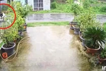 Hai thanh niên tử vong do va trúng dây điện đứt ở Trà Vinh