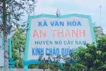 Bến Tre: Nhà thầu nào sẽ thi công đường ĐX.03 xã An Thạnh ?