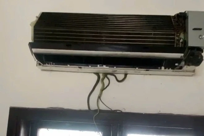 Định ngủ trưa, tá hoá phát hiện ổ “quái thú” nhung nhúc trong điều hoà