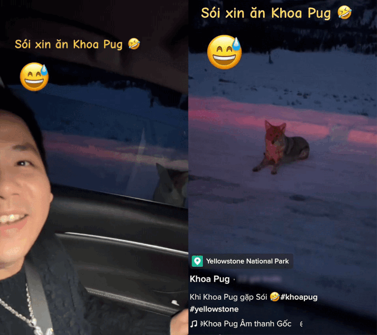 Chi tien ty de keo dai chan, dien mao cua YouTuber Khoa Pug ra sao?-Hinh-3