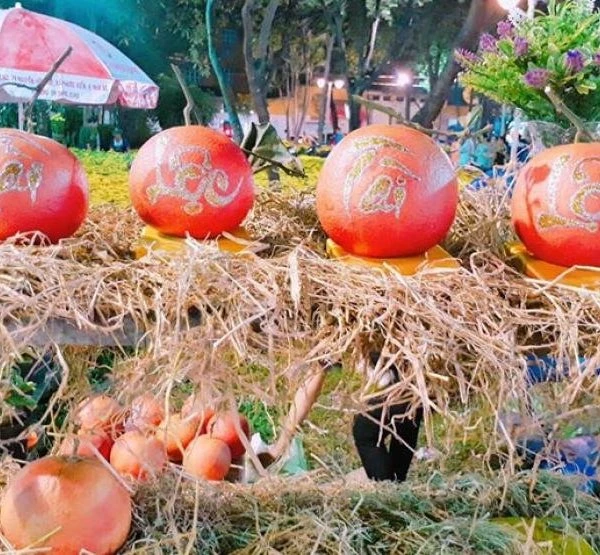 Loại quả đặc sản 'tiến vua' từng bị thất sủng, nay bán 1 triệu đồng/quả