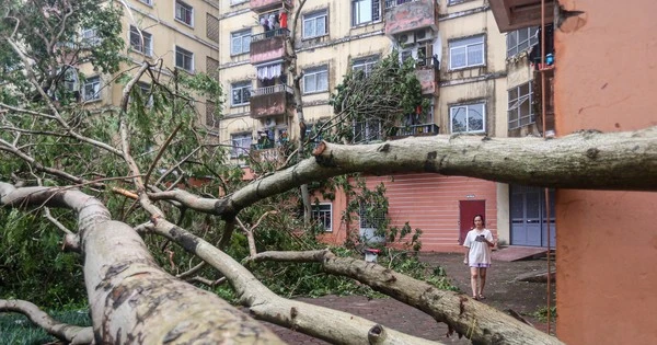 Toàn cảnh khu đô thị Linh Đàm tan hoang sau bão số 3 Yagi