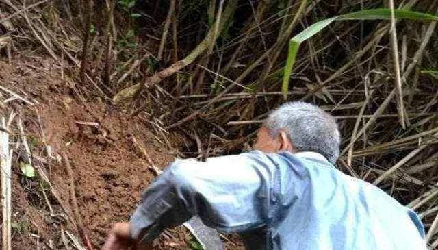 Hang động tỏa ánh vàng, ông lão tiến vào rồi ngã quỵ thấy thứ này...