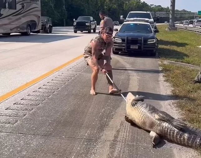 Quái thú tràn lên cao tốc, lính thủy đánh bộ lập tức "xuất chiêu"